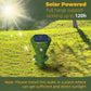 🌞🦔 Repelente solar que protege seu jardim contra toupeiras e roedores automaticamente