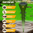 🌞🦔 Repelente solar que protege seu jardim contra toupeiras e roedores automaticamente