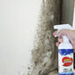 SPRAY REMOVEDOR DE MOHO DE PARED—60ml/500ml