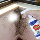 SPRAY REMOVEDOR DE MOHO DE PARED—60ml/500ml