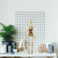 3D Cuerpo Humano Torso Modelo para Niños Anatomía Modelo Esqueleto