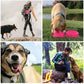 Juego de comedor para perros de viaje