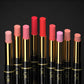 Lápiz labial de doble punta Delineador de labios automático Lápiz labial antiadherente resistente al agua mate